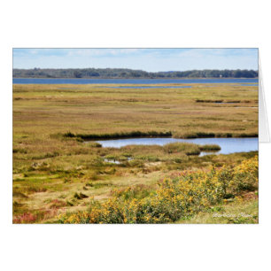 Vluchteling Parker River Wildlife: Plum Island