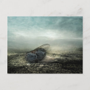 Vluchtjaar 2013 briefkaart