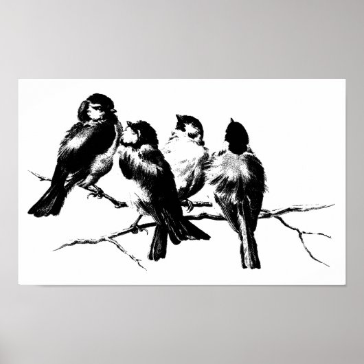 vochtige vogels op bijkantoren poster (Voorkant)