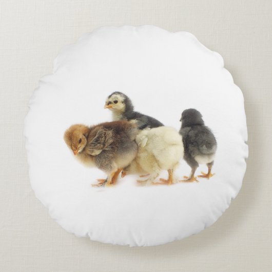 vochtkuikens rond kussen (Voorkant)