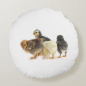 vochtkuikens rond kussen (Achterkant)