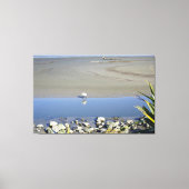 Voedertijd voor Royal Spoonbill Canvas Afdruk (Voorkant)