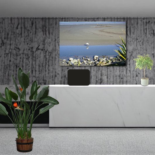 Voedertijd voor Royal Spoonbill Canvas Afdruk