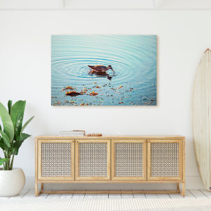 Voedervoeders op Sunset Key West Florida Canvas Afdruk