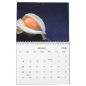 Voeding + fotografie 2010 kalender (Jan 2026)