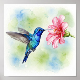 Voeding voor levende vogels poster