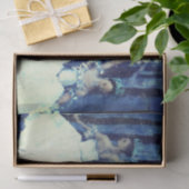 Voedingskraker ballet tissuepapier (Geschenk)