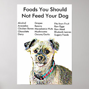 Voedingsmiddelen U mag uw hond-Poster niet voeden Poster