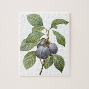 voedingsvruchten, Paarse tuinplassen van Redoute Legpuzzel