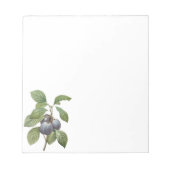 voedingsvruchten, Paarse tuinplassen van Redoute Notitieblok (Voorkant)