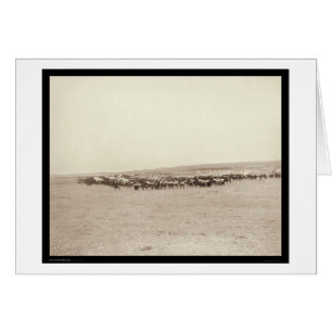 Voedingswagens en verpakkingsmodules SD 1887