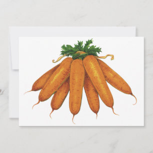 voedsel, bundel organische wortelgroenten