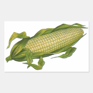 voedsel, gezonde groenten, maïs op de krab rechthoekige sticker