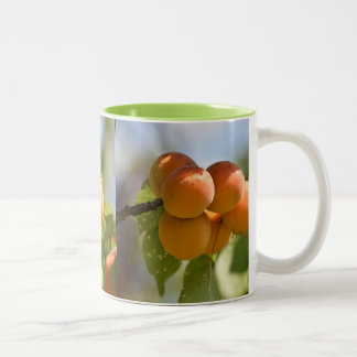 Voedsel Perziken aan de Boom Tweekleurige Koffiemok