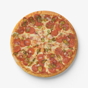 Voedsel van de Partij van de Grill van de Pizza Papieren Bordje