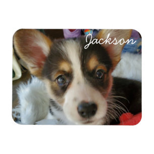 Voeg de Foto van uw dichter toe aan dit Magneet