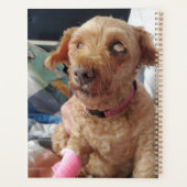 Voeg de foto van uw hond toe aan deze Custom Planner (Achterkant)