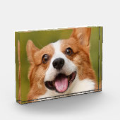 Voeg Dog Photo Personalized Gepersonaliseerd Fotoblokken (Links)