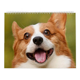 Voeg Dog Photo Personalized Gepersonaliseerd Kalender