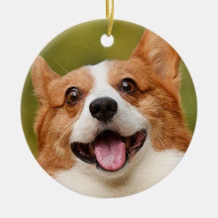 Voeg Dog Photo Personalized Gepersonaliseerd Keramisch Ornament