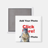 Voeg een Eekhoorn aangepaste magneet toe (Voorkant / Achterkant)