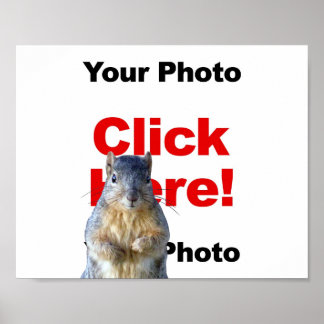Voeg een eekhoorn op maat gemaakte foto poster toe