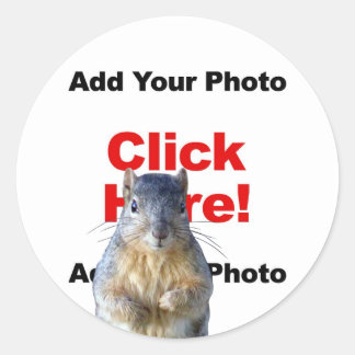 Voeg een eekhoorn op maat gemaakte fotosticker toe ronde sticker