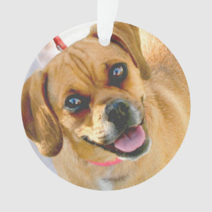 Voeg een foto en om het even welke tekst op de ach ornament