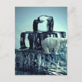 Voeg Eigen Slogan Toe Om De Arctische Ijsbeer Plan Briefkaart (Voorkant)