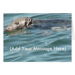 Voeg hier je bericht toe Cute Seal Kaart
