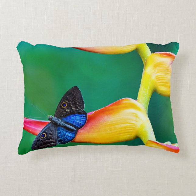 Voeg je eigen Afbeelding foto template aangepaste  Accent Kussen (Voorkant)