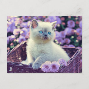 Voeg Je Eigen Foto Kitten Lila Bloemen Toe Briefkaart