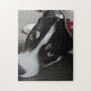 Voeg je eigen foto toe of laat deze Husky Pitbull  Legpuzzel