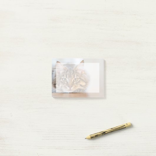 Voeg je eigen petfoto in post-it® notes (Op bureau)