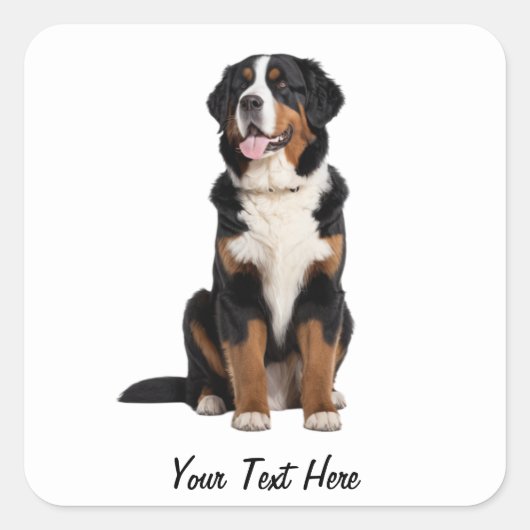 Voeg Jouw tekst Custom Berner Mountain Dog Vierkante Sticker (Voorkant)