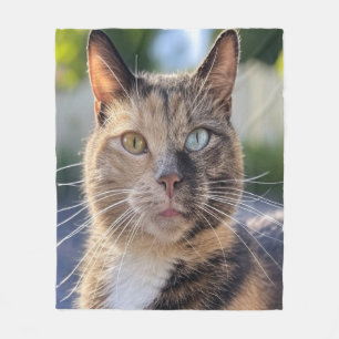 Voeg Kat Foto Aanpassen Toe Fleece Deken