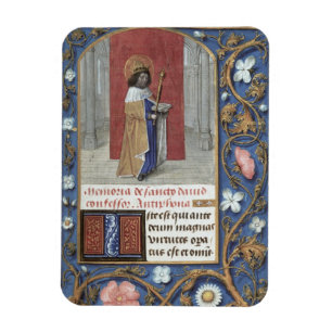 Voeg mevrouw 54782 f.40 St. David van het Hastings Magneet