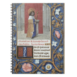 Voeg mevrouw 54782 f.40 St. David van het Hastings Notitieboek