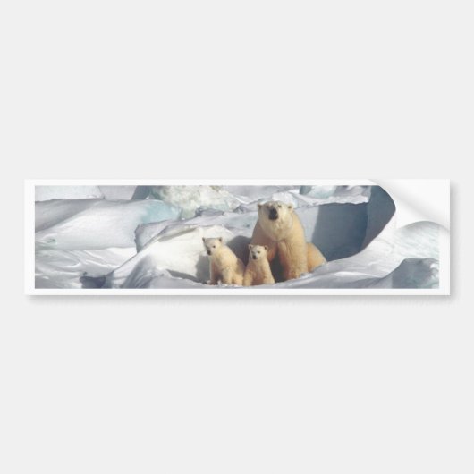 Voeg SLOGAN toe om Arctic Polar Beren Planet Ice t Bumpersticker (Voorkant)