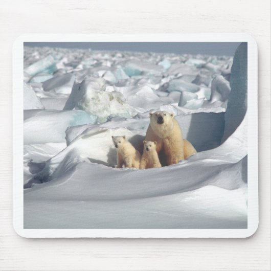Voeg SLOGAN toe om Arctic Polar Beren Planet Ice t Muismat (Voorkant)