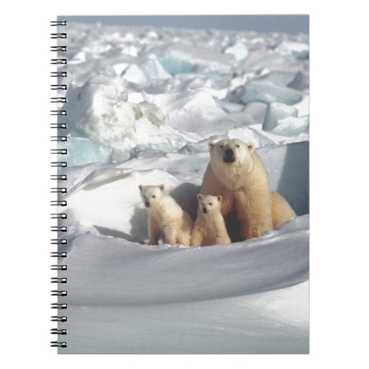 Voeg SLOGAN toe om Arctic Polar Beren Planet Ice t Notitieboek (Voorkant)