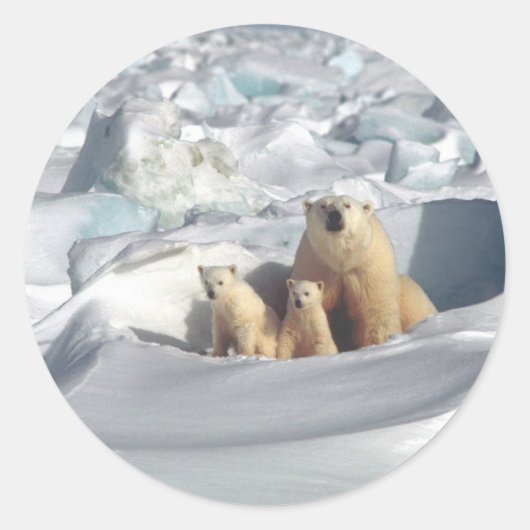 Voeg SLOGAN toe om Arctic Polar Beren Planet Ice t Ronde Sticker (Voorkant)