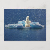 Voeg SLOGAN toe om Ijsbeer Arctische Planeet Ijs t Briefkaart (Voorkant)