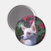 "Voeg uw eigen Foto toe" Magnet Magneet (Voorkant / Achterkant)