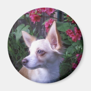 "Voeg uw eigen Foto toe" Magnet Magneet