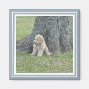 Voeg Uw Foto toe aan Modern Farmhouse Blue & White Magneet