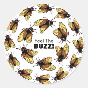 Voel de Buzz Cicada Magicada kleurrijke partij Ronde Sticker
