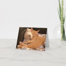 Voel je beter een goede kaart voor Ginger Tiger Ki