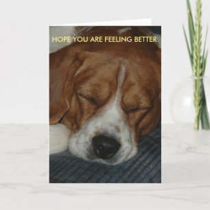 Voel je beter kaart met beagle