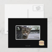 Voel je je gelukkig? briefkaart (Voorkant / Achterkant)